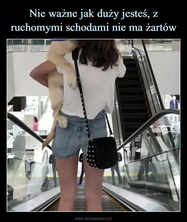 
    Nie ważne jak duży jesteś, z ruchomymi schodami nie ma żartów