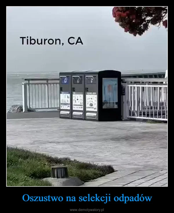 
    Oszustwo na selekcji odpadów