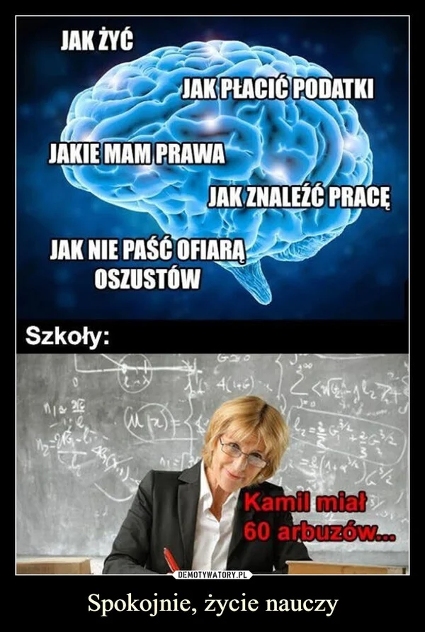 
    Spokojnie, życie nauczy