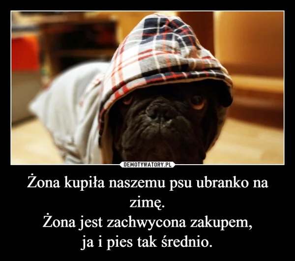 
    Żona kupiła naszemu psu ubranko na zimę. Żona jest zachwycona zakupem, ja i pies tak średnio.