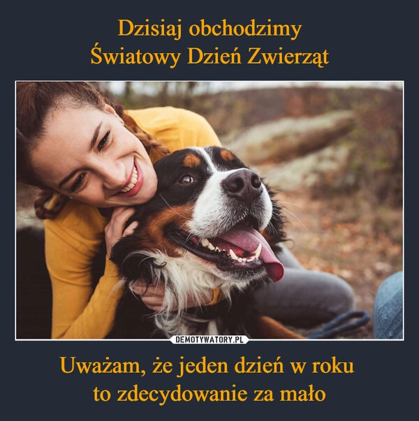 
    Dzisiaj obchodzimy
Światowy Dzień Zwierząt Uważam, że jeden dzień w roku 
to zdecydowanie za mało