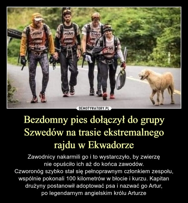 
    Bezdomny pies dołączył do grupy Szwedów na trasie ekstremalnego
rajdu w Ekwadorze