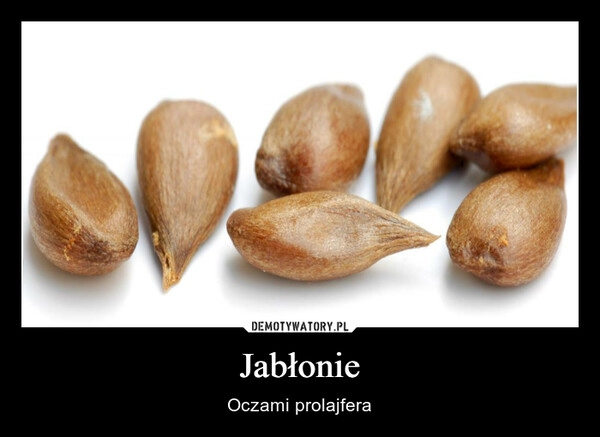 
    Jabłonie