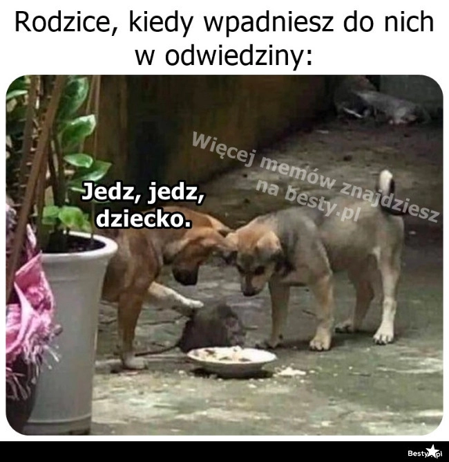 
    Odwiedziny u rodziców 