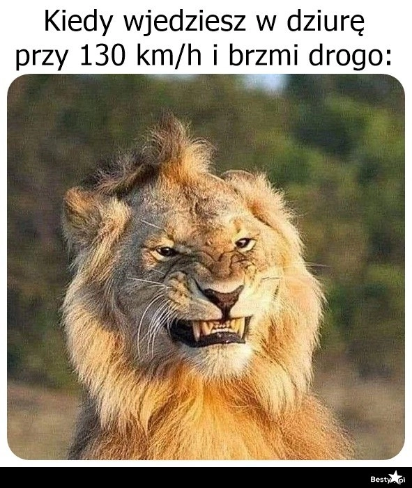 
    Brzmi drogo 