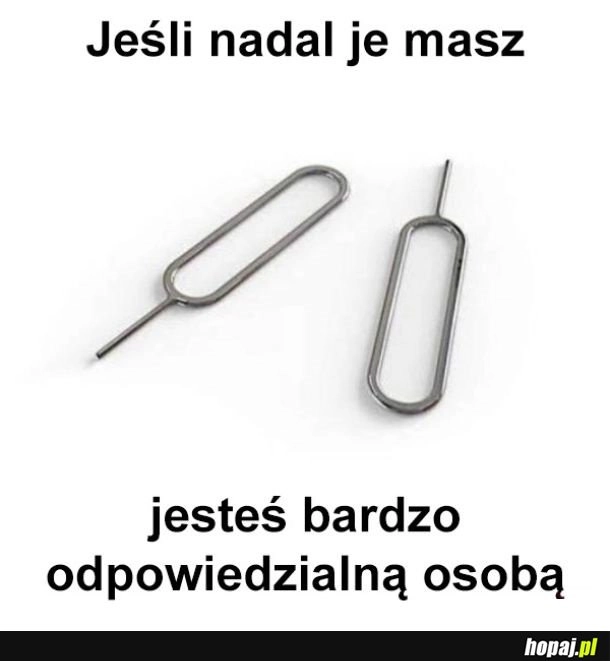 
    Odpowiedzialna osoba