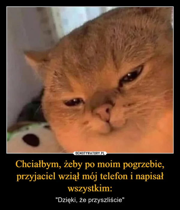 
    Chciałbym, żeby po moim pogrzebie, przyjaciel wziął mój telefon i napisał wszystkim:
