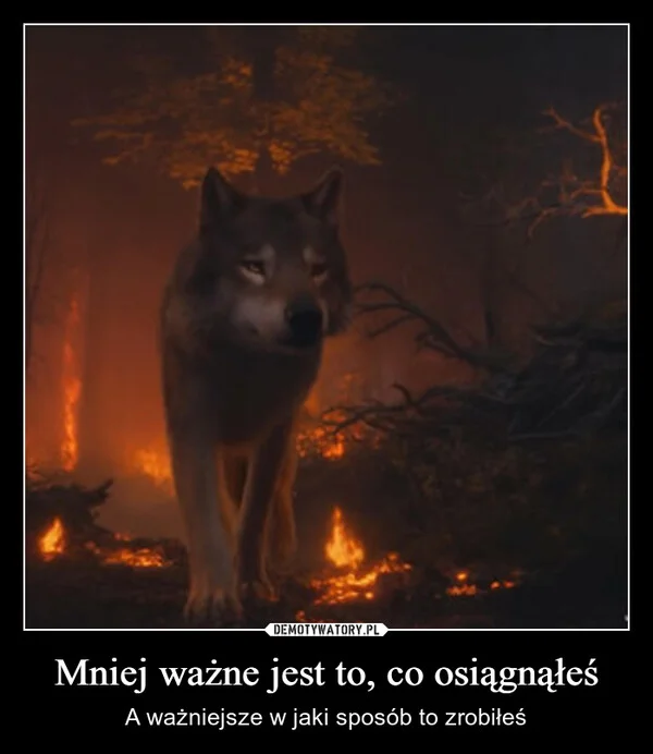 
    Mniej ważne jest to, co osiągnąłeś