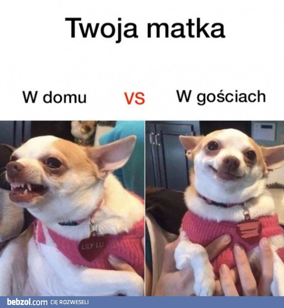 
    Twoja matka