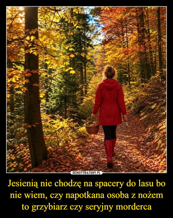 Jesienią nie chodzę na spacery do lasu bo nie wiem, czy napotkana osoba z nożem to grzybiarz czy seryjny morderca