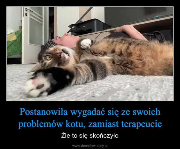 
    Postanowiła wygadać się ze swoich problemów kotu, zamiast terapeucie