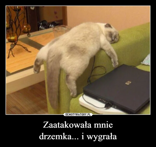 Zaatakowała mnie drzemka... i wygrała