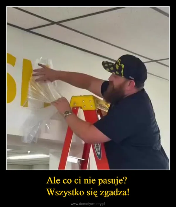 
    Ale co ci nie pasuje? Wszystko się zgadza!