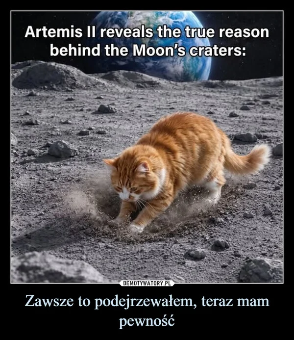 
    Zawsze to podejrzewałem, teraz mam pewność