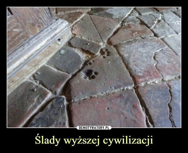 
    Ślady wyższej cywilizacji