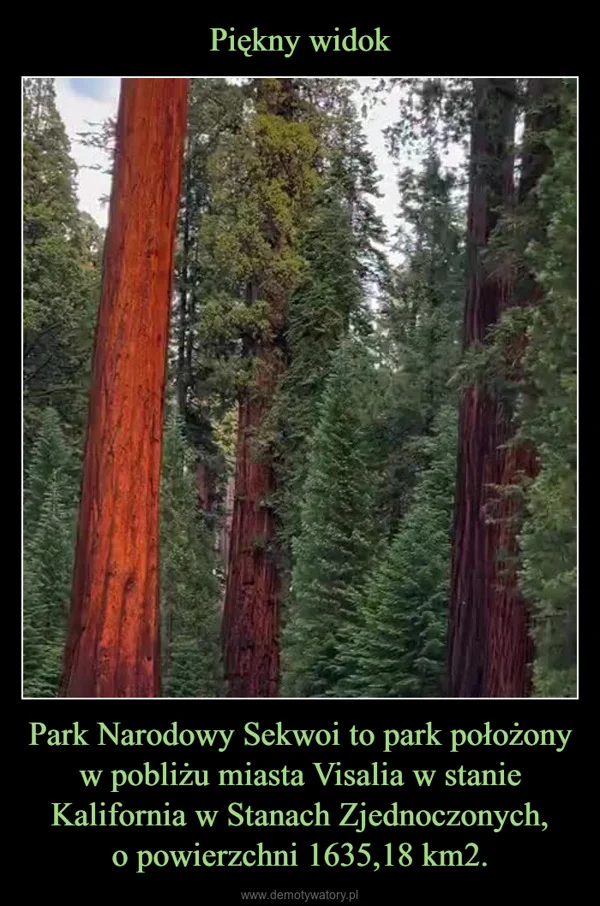 
    Piękny widok Park Narodowy Sekwoi to park położony w pobliżu miasta Visalia w stanie Kalifornia w Stanach Zjednoczonych, o powierzchni 1635,18 km2.