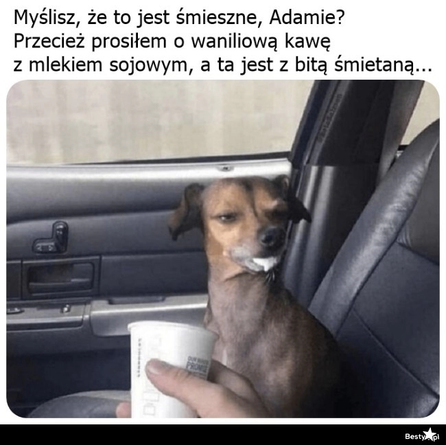 
    Idź po drugą 