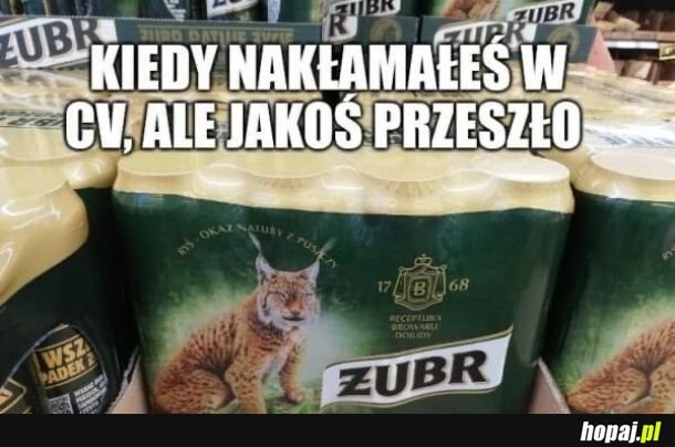 
    Żubr