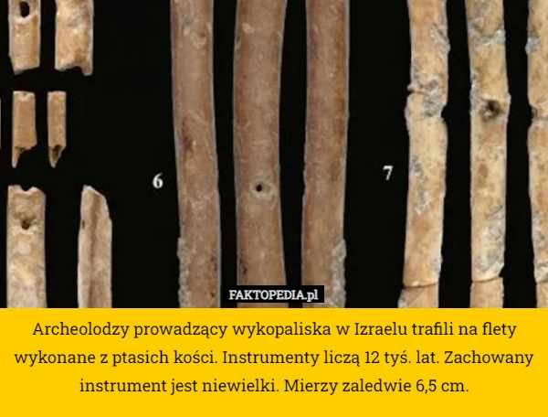 
    Archeolodzy prowadzący wykopaliska w Izraelu trafili na flety wykonane z