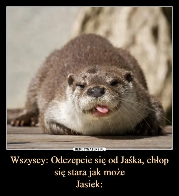 
    Wszyscy: Odczepcie się od Jaśka, chłop się stara jak może Jasiek: