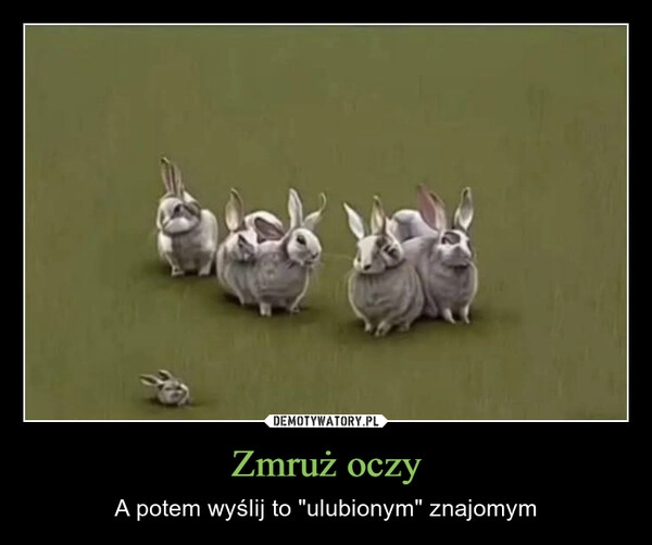 
    Zmruż oczy