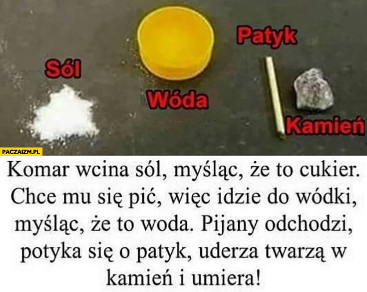 
    Pułapka na komara wcina sól myśląc, że to cukier, idzie do wódki myśląc ze to woda, pijany odchodzi potyka się o patyk uderza twarzą w kamień i umiera