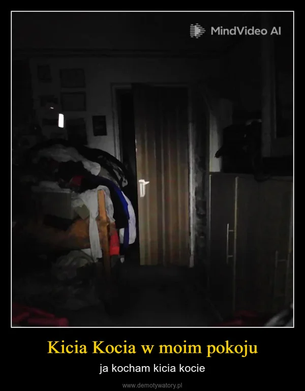 
    Kicia Kocia w moim pokoju