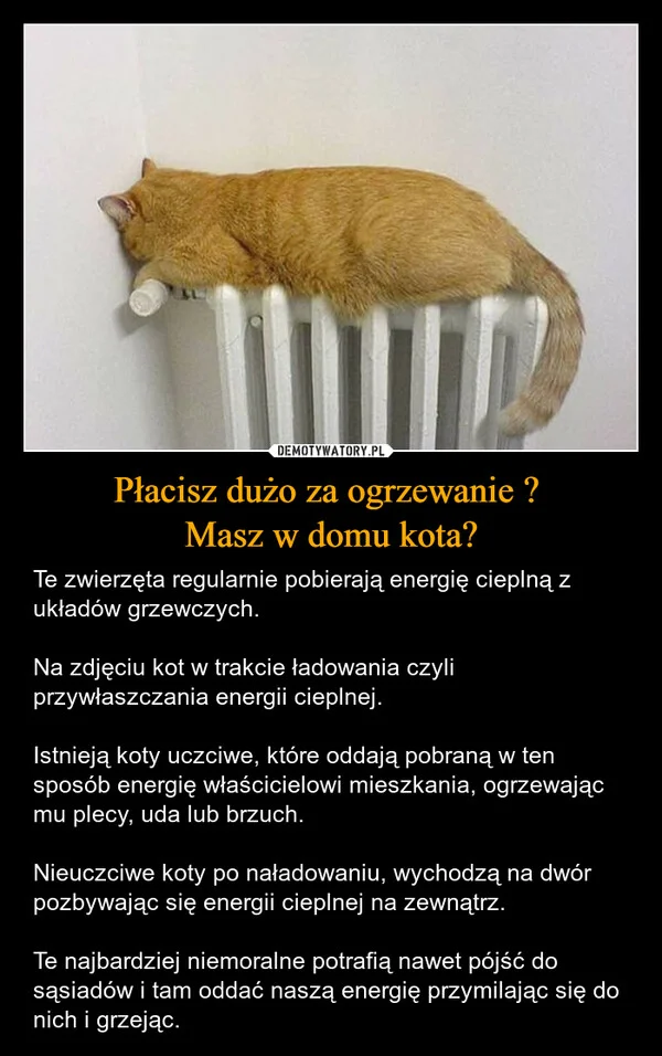 
    Płacisz dużo za ogrzewanie ? Masz w domu kota?