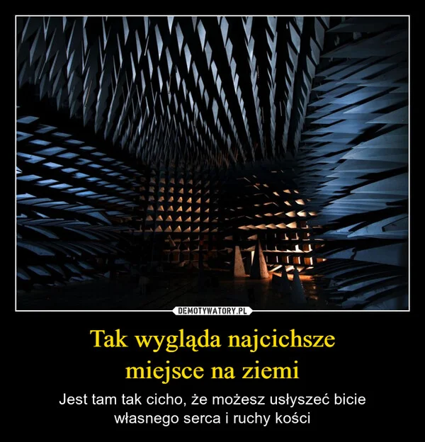 
    Tak wygląda najcichsze miejsce na ziemi