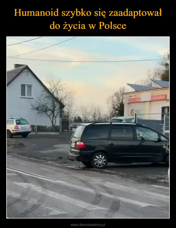 
    Humanoid szybko się zaadaptował do życia w Polsce