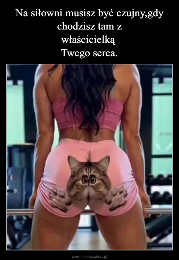 
    Na siłowni musisz być czujny,gdy chodzisz tam z właścicielką Twego serca.