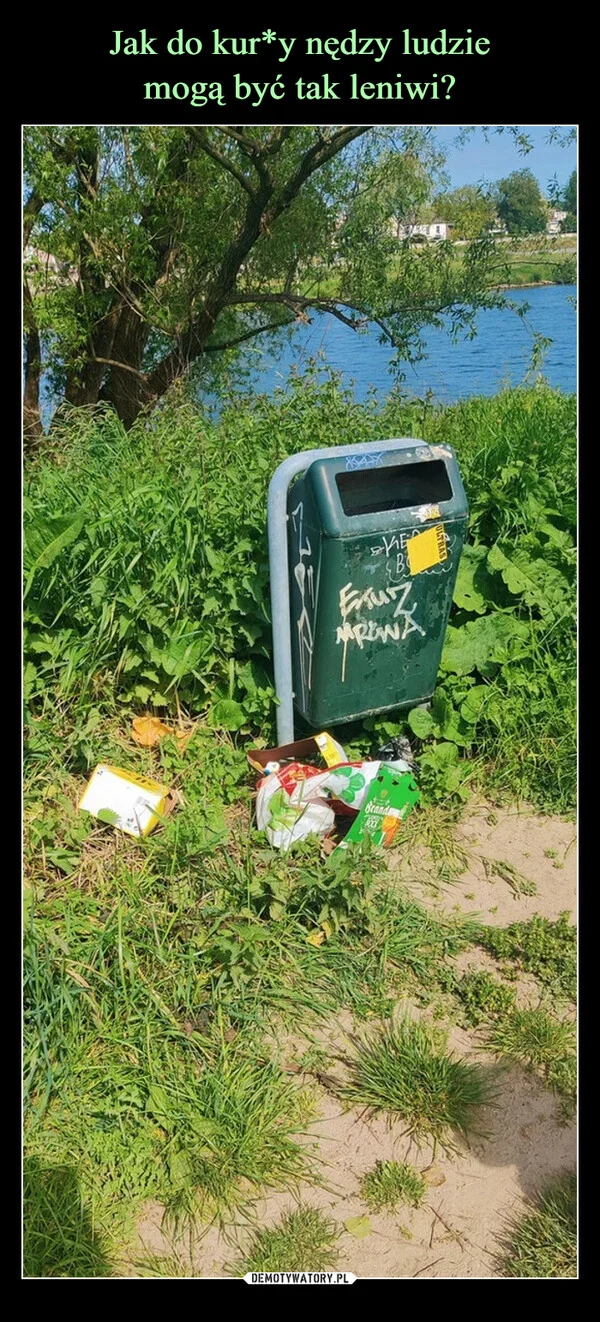 
    Jak do kur*y nędzy ludzie mogą być tak leniwi?