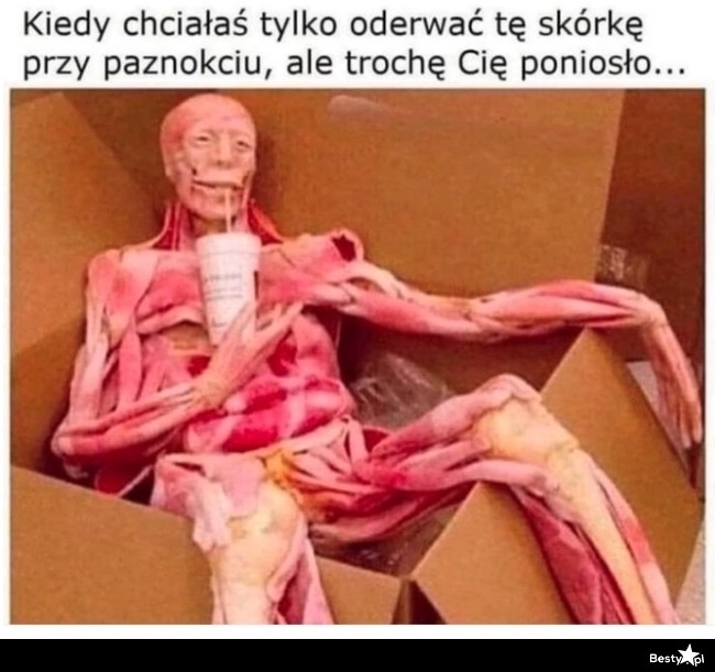 
    Skórka 