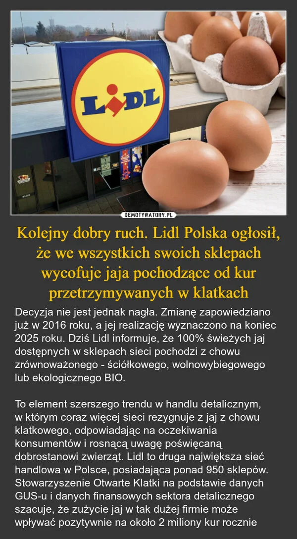 
    Kolejny dobry ruch. Lidl Polska ogłosił, że we wszystkich swoich sklepach wycofuje jaja pochodzące od kur przetrzymywanych w klatkach