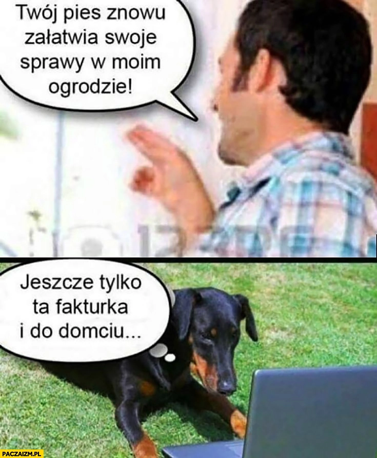 
    Twój pies znowu załatwia swoje sprawy w moim ogrodzie, jeszcze tylko ta fakturka i do domciu. Pies pracuje przy komputerze