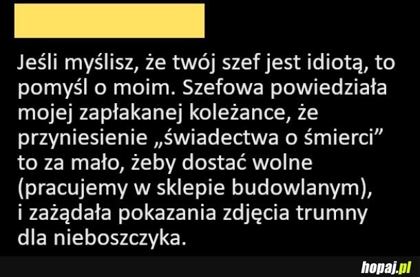 
    Kiedy twój szef jest skończonym idiotą