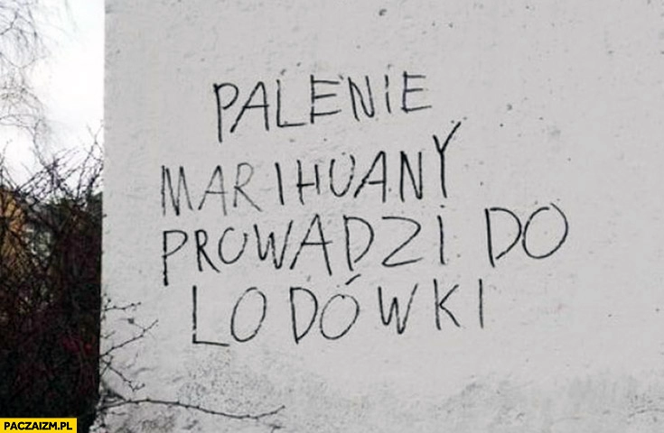 
    Palenie marihuany prowadzi do lodówki napis na murze