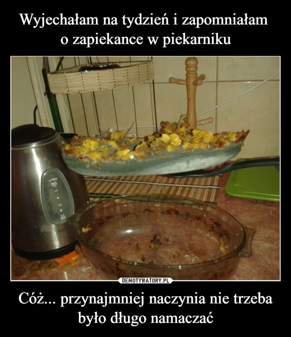 Wyjechałam na tydzień i zapomniałam o zapiekance w piekarniku Cóż... przynajmniej naczynia nie trzeba było długo namaczać