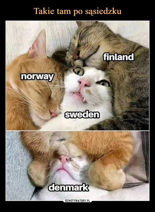 Takie tam po sąsiedzku