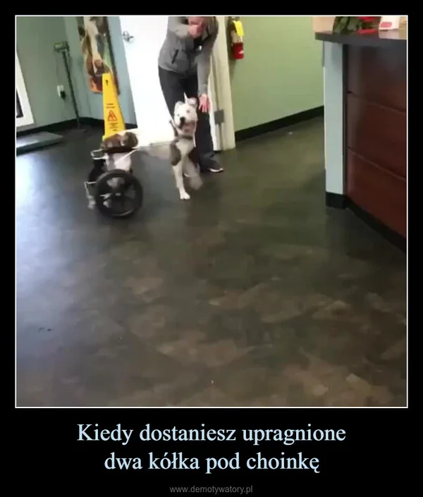 
    Kiedy dostaniesz upragnione dwa kółka pod choinkę