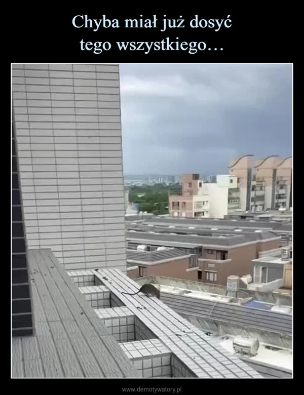 Chyba miał już dosyć tego wszystkiego…