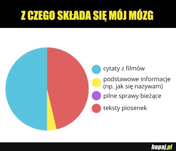 
    Mój mózg