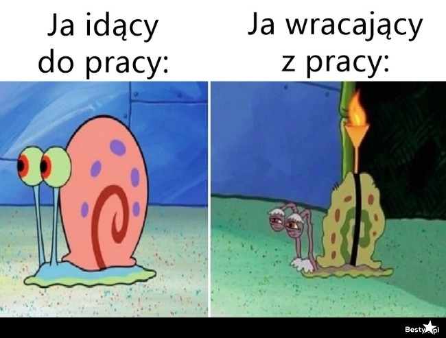 
    Powrót z pracy 