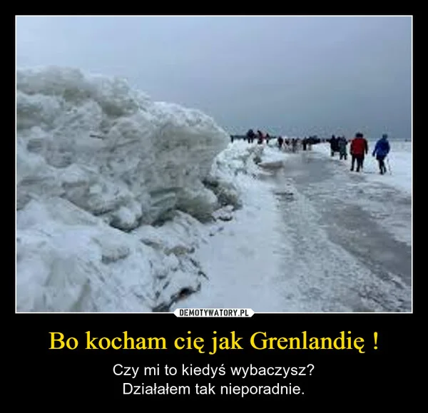 
    Bo kocham cię jak Grenlandię !