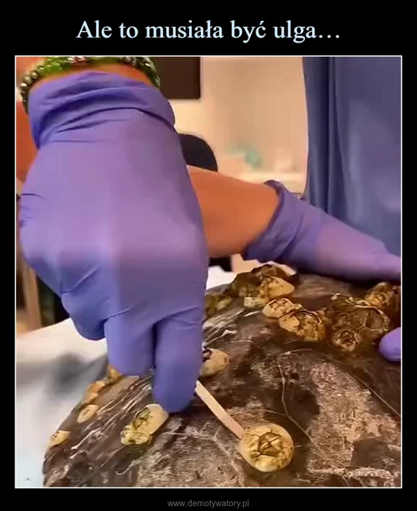 
    Ale to musiała być ulga…