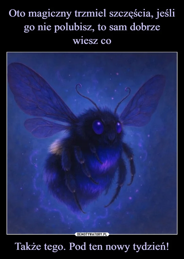 
    Oto magiczny trzmiel szczęścia, jeśli go nie polubisz, to sam dobrze wiesz co Także tego. Pod ten nowy tydzień!