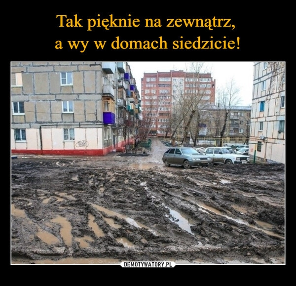 
    Tak pięknie na zewnątrz, 
a wy w domach siedzicie!