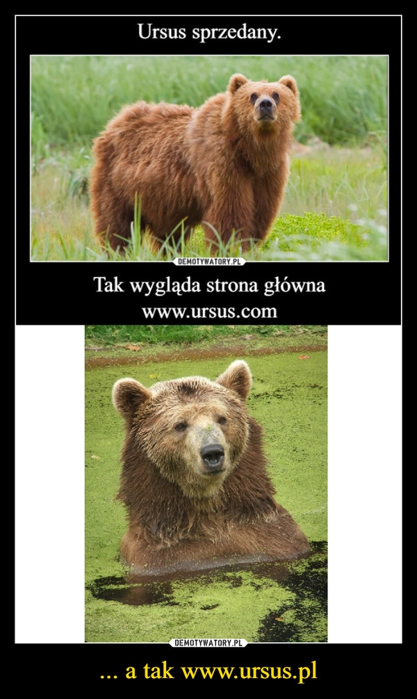 
    ... a tak www.ursus.pl