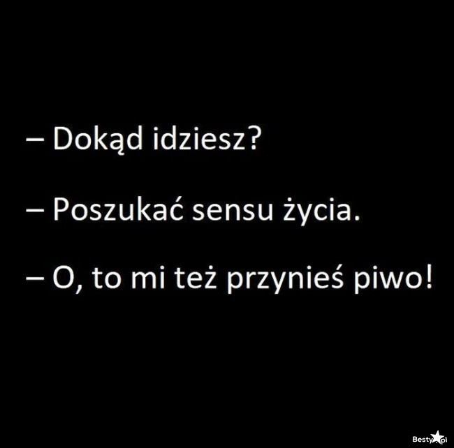 
    W poszukiwaniu sensu życia 