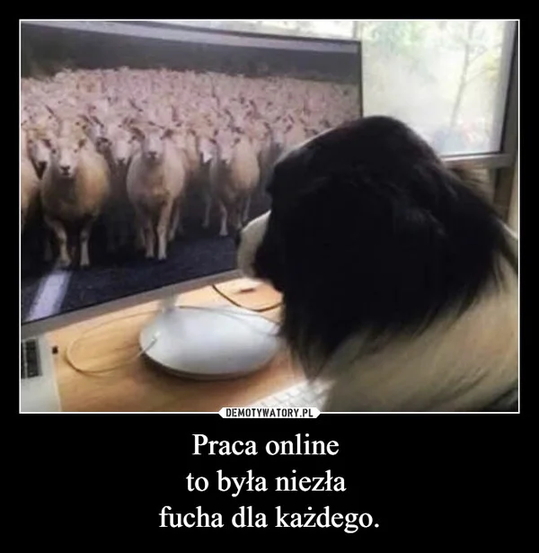 
    Praca online to była niezła fucha dla każdego.